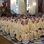 Księża koncelebrujący Mszę św. (było ich ok. 400) przyjechali z kilku diecezji z Polski i z zagranicy