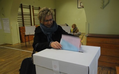 Wybory samorządowe - 2014