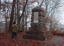  Pomnik po renowacji ukończonej 4 listopada 2014 roku 