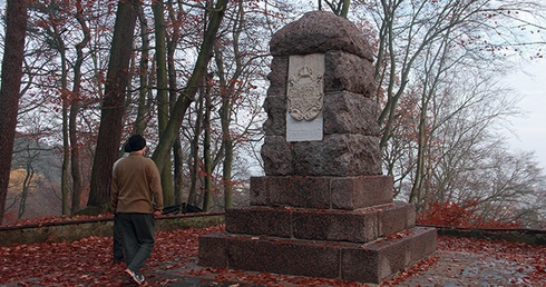  Pomnik po renowacji ukończonej 4 listopada 2014 roku 