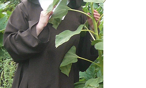 Siostra Joanna jest karmelitanką bosą w klasztorze Maryi Matki Pojednania w Bornem Sulinowie. Poproszona o komentarz do Ewangelii, dołączyła również swój wiersz idealnie pasujący do słowa Bożego przeznaczonego na I niedzielę Adwentu.