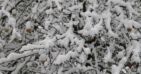 Na Podhalu już zima