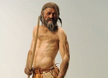 O życiu Alpejczyka sprzed 5300 lat wiemy naprawdę bardzo dużo.  Jak wyglądał, co jadł, a nawet  – z detalami – jak zginął