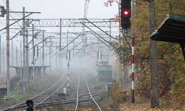 Co siódmy człowiek jest migrantem