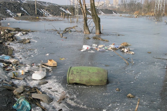 Sprawa ekologii ma wymiar moralny