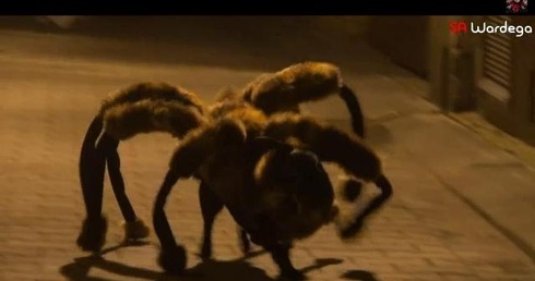 Wardęga nie chce żartować z religii