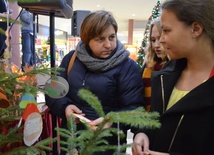 Słupsk przy "Pustej Choince"