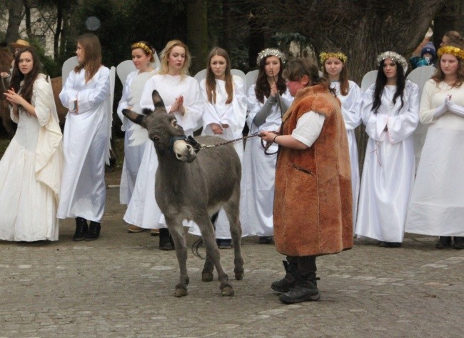 Jasełka i wystawa szopek
