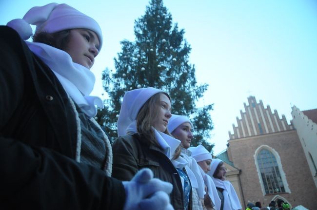 Choinka pod Oknem Papieskim