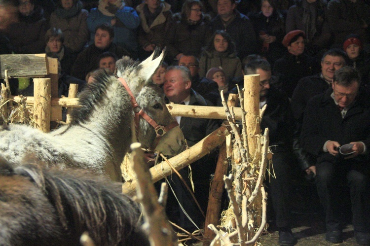 Stajnia, pasterka, krzyż