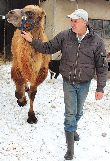 Henryk dba o swoje zwierzęta. Codziennie poświęca im większość dnia