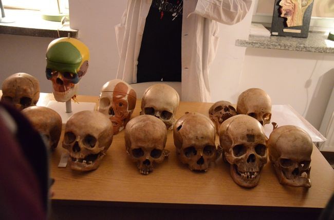 Nauka dla wszystkich