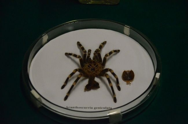 Nauka dla wszystkich