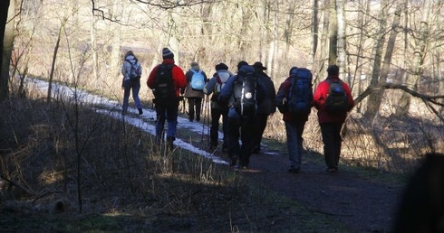 Camino coraz popularniejsze