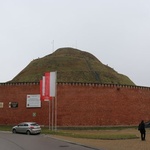 Zarośla zasłaniają kopiec Kościuszki