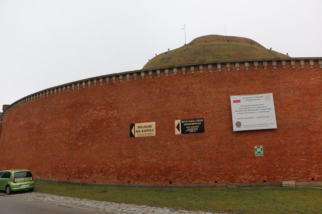 Zarośla zasłaniają kopiec Kościuszki