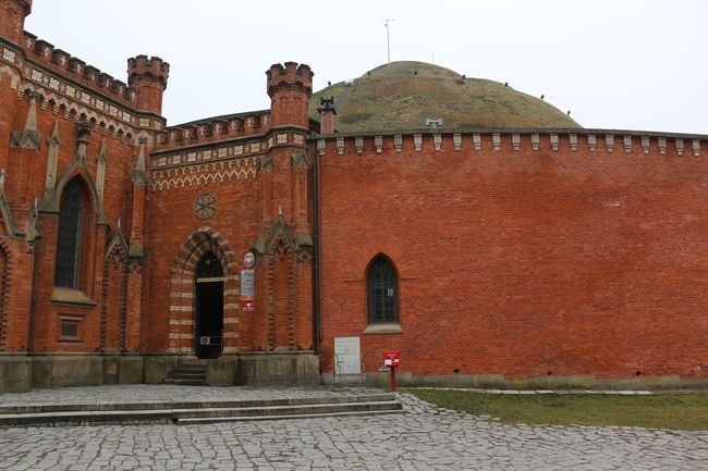 Zarośla zasłaniają kopiec Kościuszki