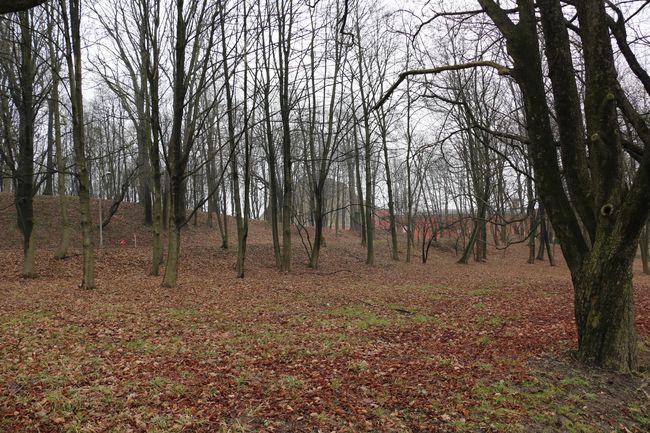 Zarośla zasłaniają kopiec Kościuszki