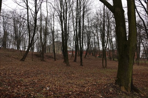 Zarośla zasłaniają kopiec Kościuszki