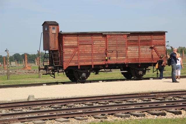 Byli więźniowie Auschwitz przed 70. rocznicą wyzwolenia obozu