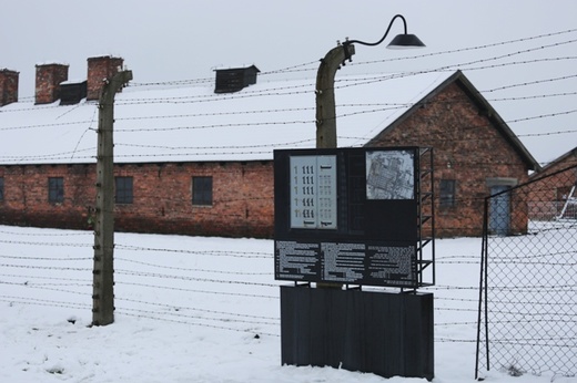 Obchody 70. rocznicy wyzwolenia Auschwitz-Birkenau