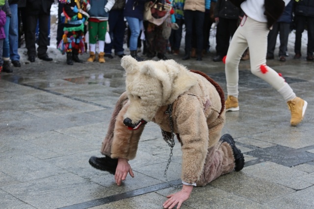 Żywieckie Gody 2015 w obiektywie