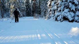  Jedna z atrakcji na ferie, czyli trasy dla narciarzy biegowych, które przygotował nowotarski magistrat 