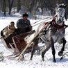 Wyścig kumoterek 