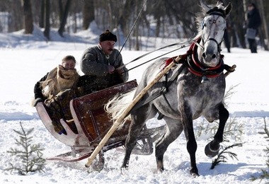 Wyścig kumoterek 