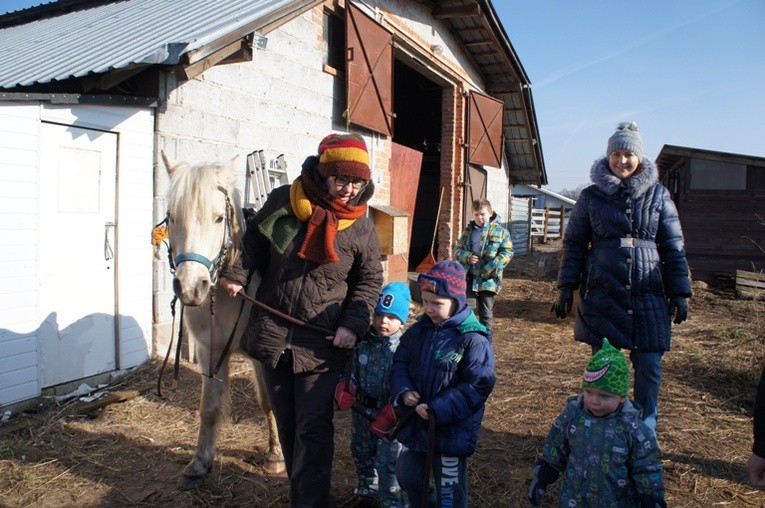 Warsztaty w stadninie w Budach Grabskich