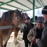 "Wstępy 2015"