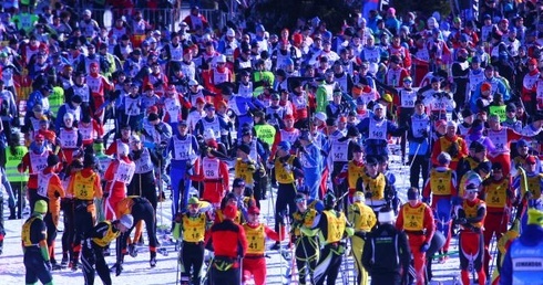 Przed wielkim finałem