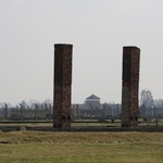 Droga Krzyżowa o trzeźwość narodu w KL Auschwitz-Birkenau