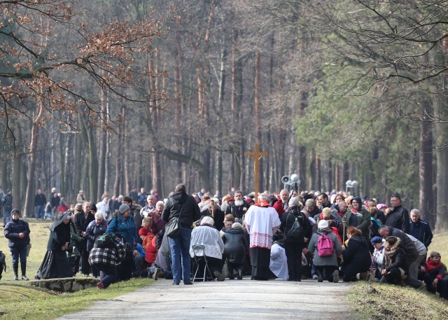 Droga Krzyżowa o trzeźwość narodu w KL Auschwitz-Birkenau