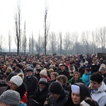 Droga Krzyżowa o trzeźwość narodu w KL Auschwitz-Birkenau