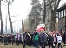 Droga Krzyżowa o trzeźwość narodu w KL Auschwitz-Birkenau