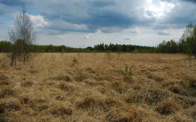 Jutro spłoną wrzosowiska