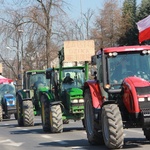 Tarnowski protest rolniczy