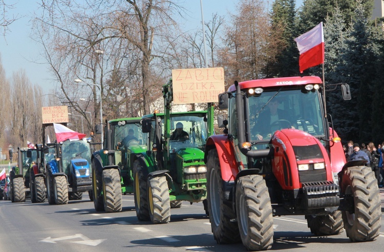 Tarnowski protest rolniczy