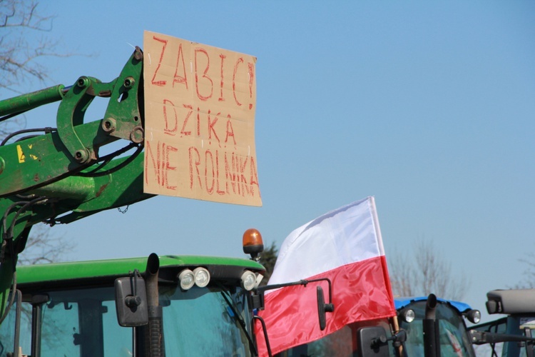 Tarnowski protest rolniczy