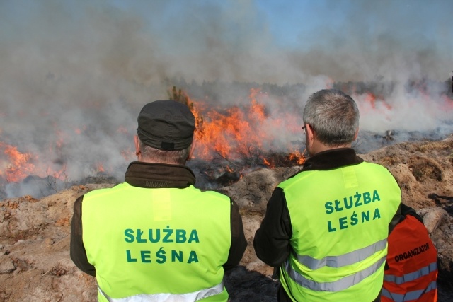 Ogień, który ratuje wrzos