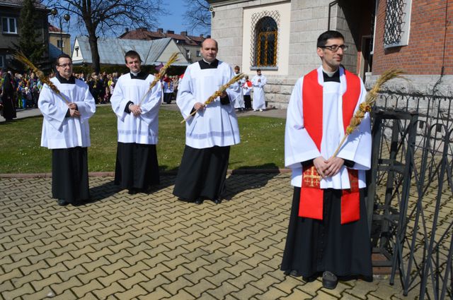 Nowotarżanie z palmami 