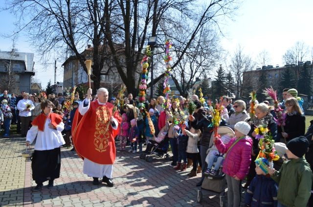 Nowotarżanie z palmami 