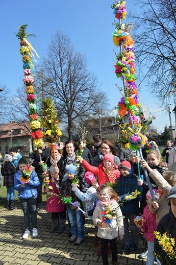 Nowotarżanie z palmami 