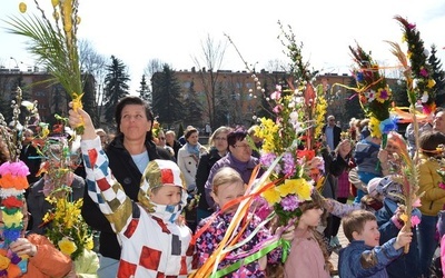 Nowotarżanie z palmami 