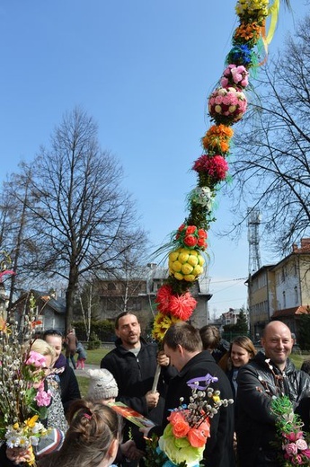 Nowotarżanie z palmami 