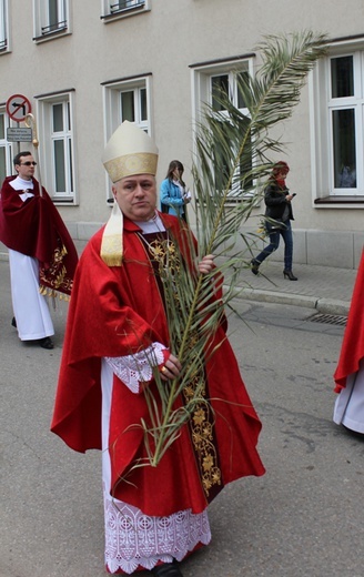 Niedziela Palmowa - procesja do katedry