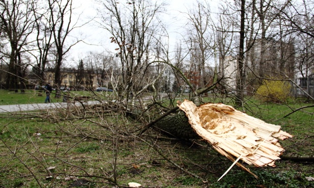 Silny wiatr w Małopolsce