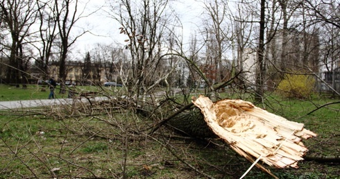 Silny wiatr w Małopolsce