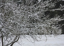 Śnieg w Lubuskiem